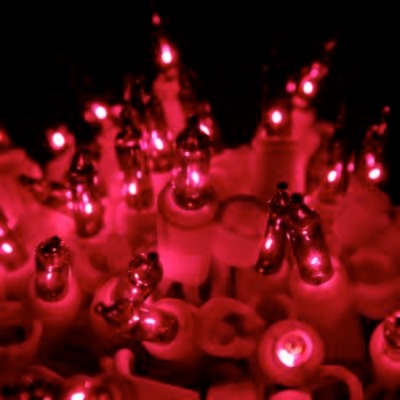 100 Purple Mini lights with clips 2.5 inch White Wire