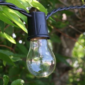 Case of 250 Medium Base White Bulbs