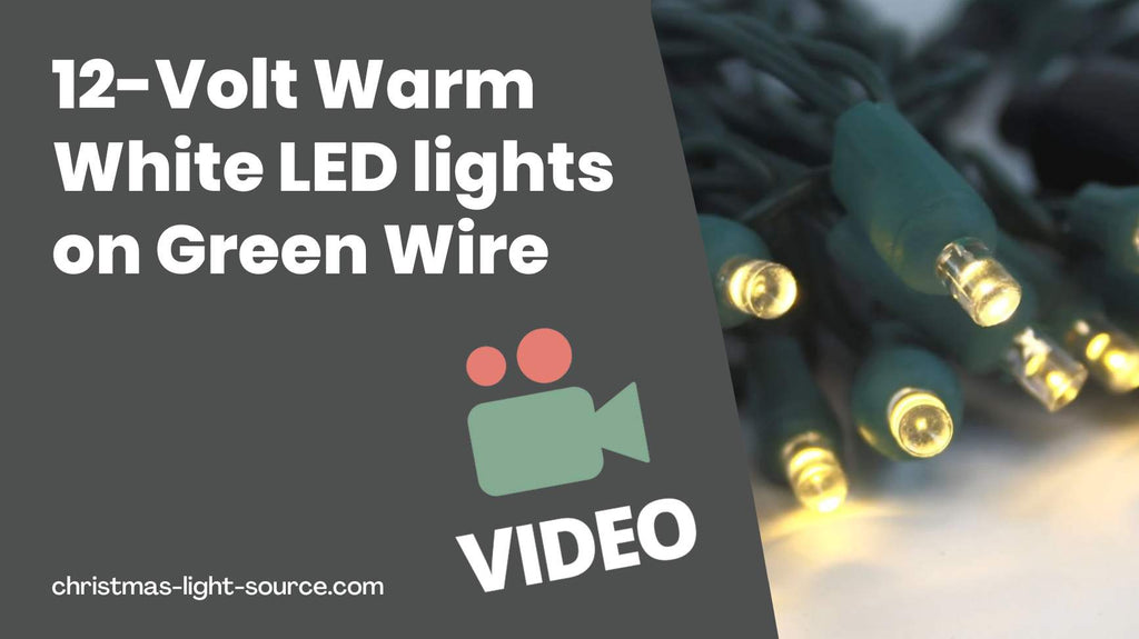 12 Volt Warm White String Lights on Green Wire