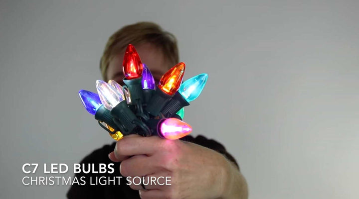C7 LED Bulbs