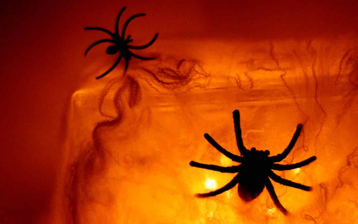 Spider Glass Block
