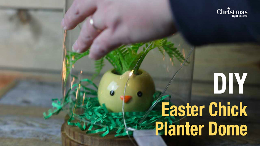 DIY: Easter Chick Planter Dome with Lights!