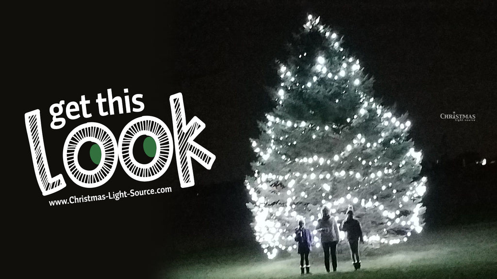 Lighting a huge outdoor Christmas Tree