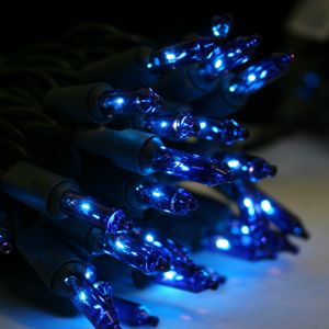 blue mini lights with black wire