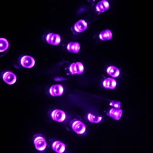 20-light Purple LED Craft Lights, Green Wire