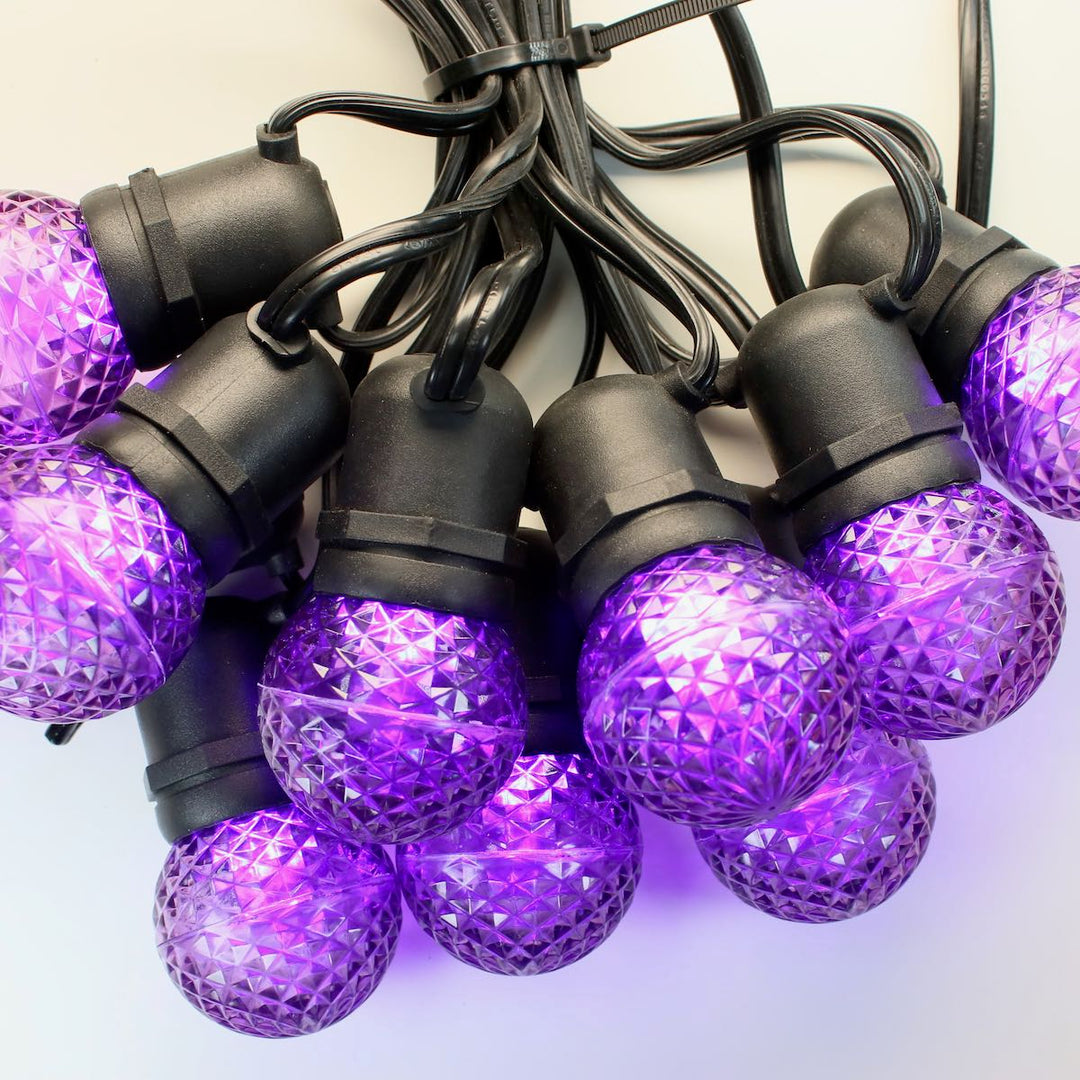 G50 Purple LED Bulbs E26 Bases