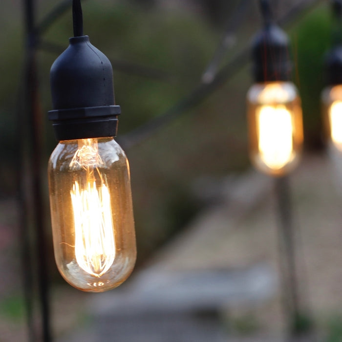 edison bulb grow light Vintage Style ST64 Edison Bulbs, E26 Base