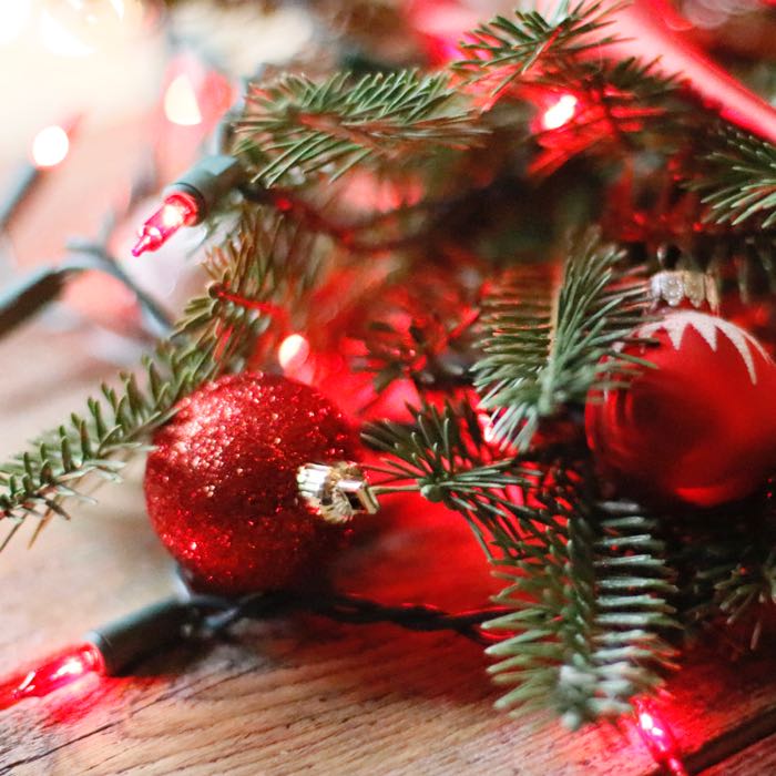 50-bulb Red Mini Lights, 2.5" Spacing, Green Wire