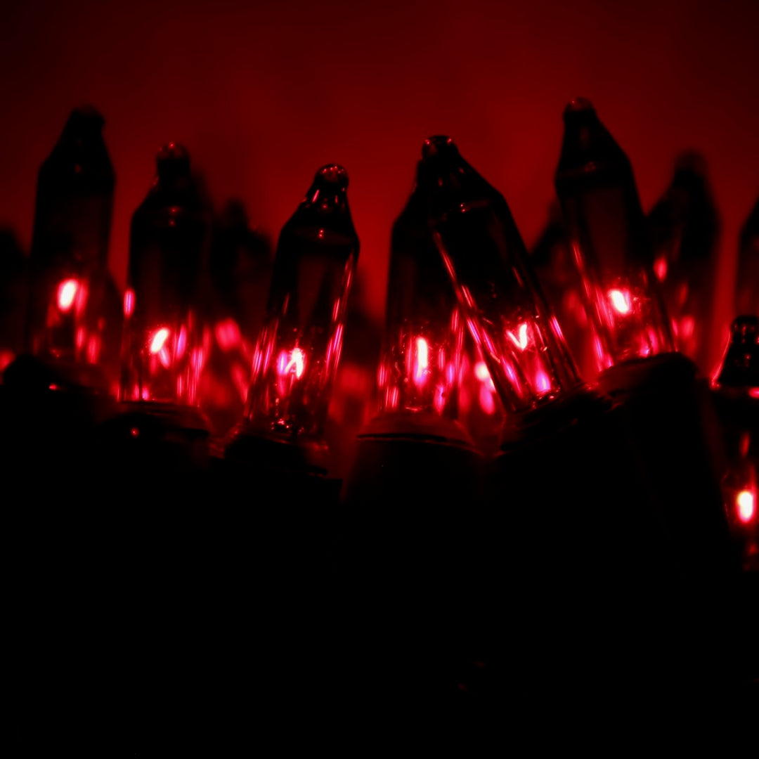 50-bulb Red Mini Lights, 4" Spacing, Black Wire