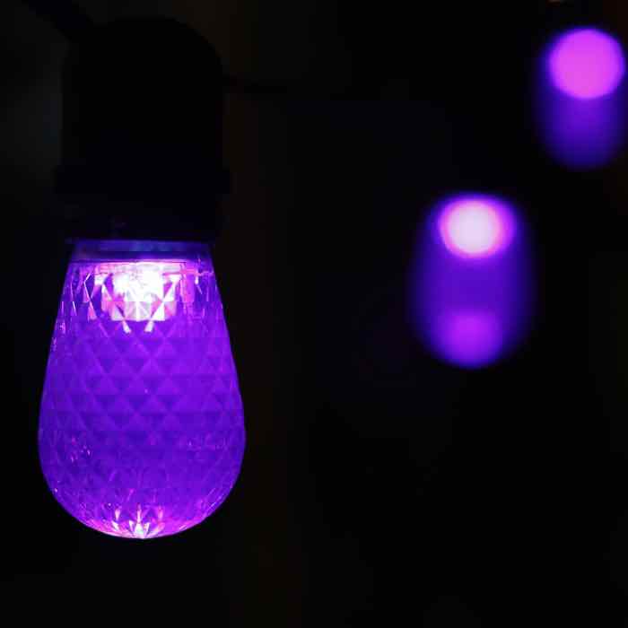 T50 Purple LED (SMD) Bulbs E26 Bases