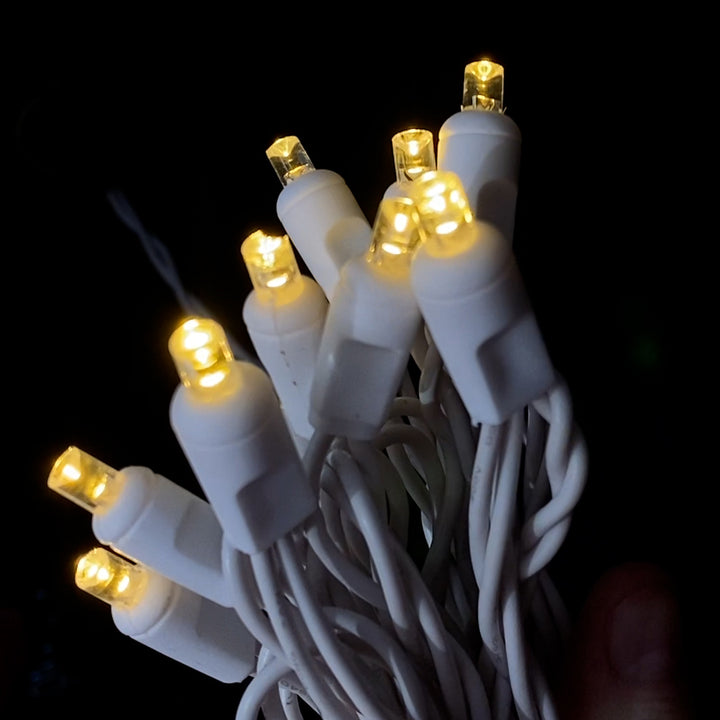 12 Volt LED Light Set Warm White White Wire