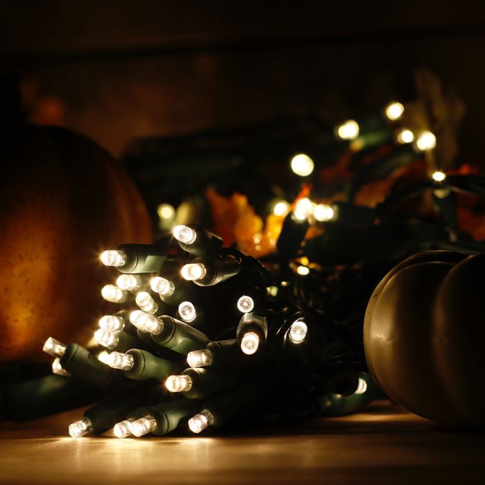 5mm Warm White LED Christmas Lights Green Wire