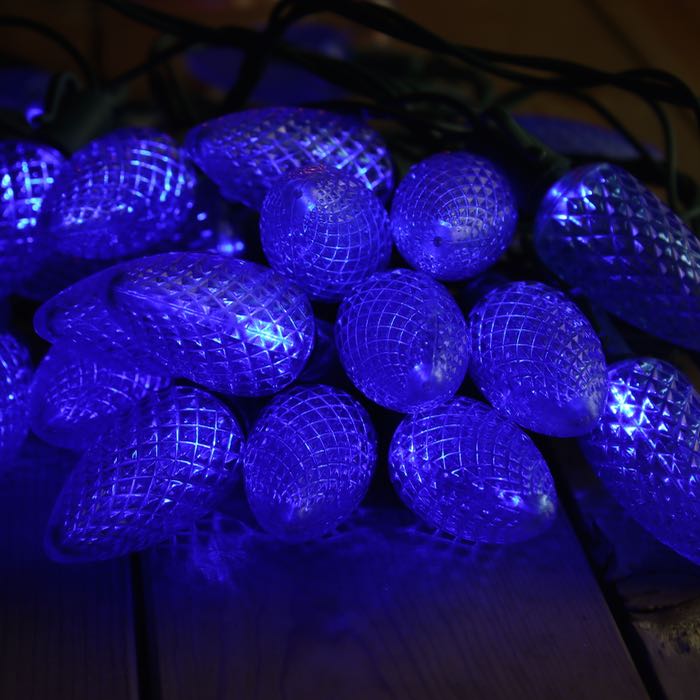 Blue C9 LED Lights Perfect for Parties!