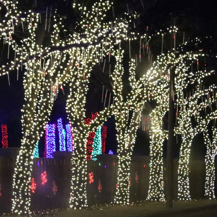 M5 Warm White LED Christmas Lights on Green Wire