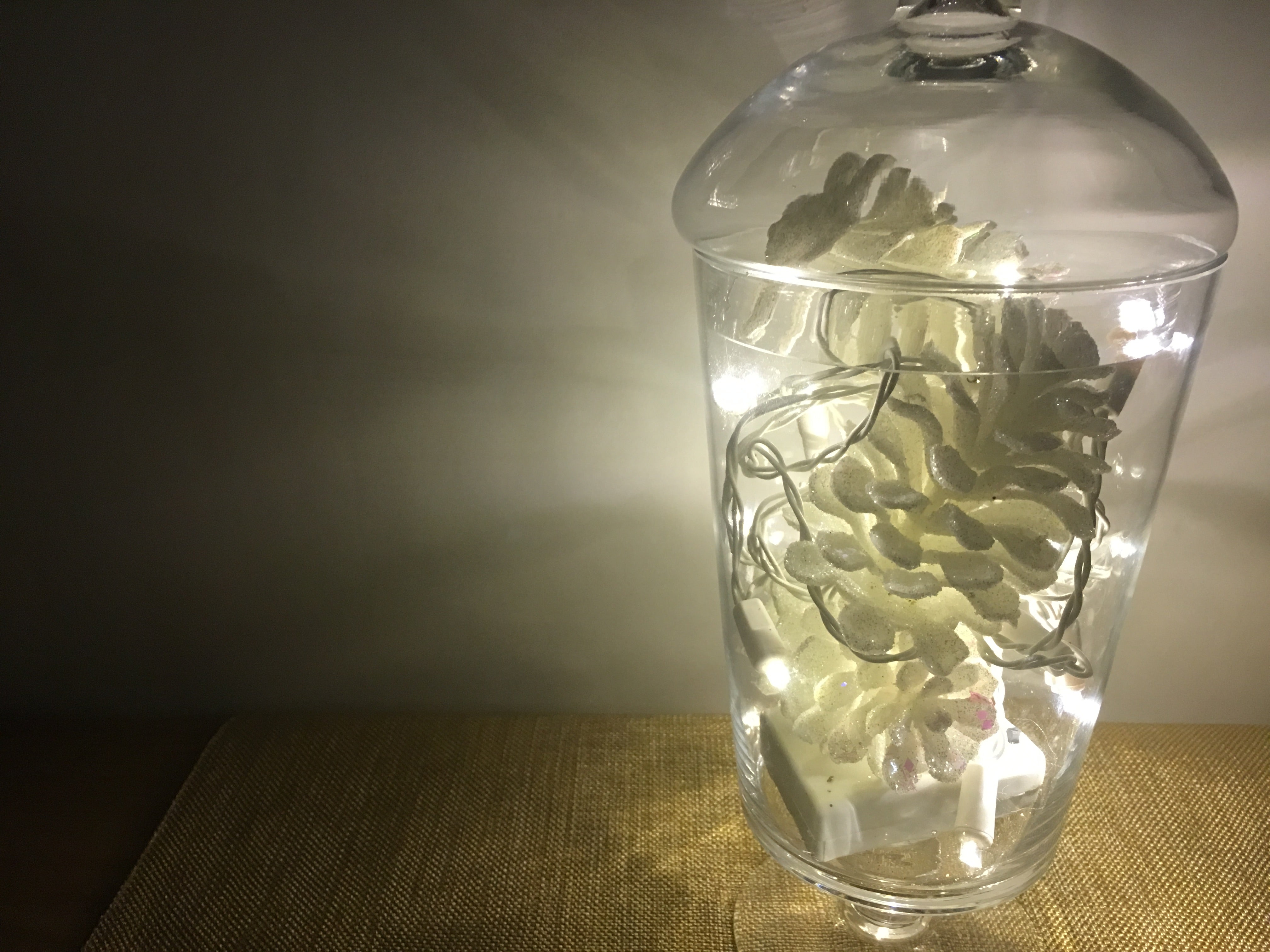 Battery Powered LED Christmas Lights SM5 Warm White White Wire