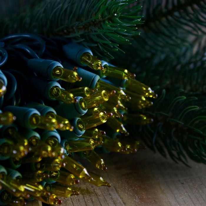 50 Yellow Christmas lights 2.5 inch Green Wire