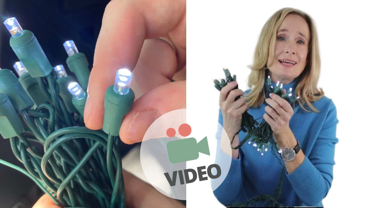 Video: 12 Volt Pure White LED Christmas Lights on Green Wire
