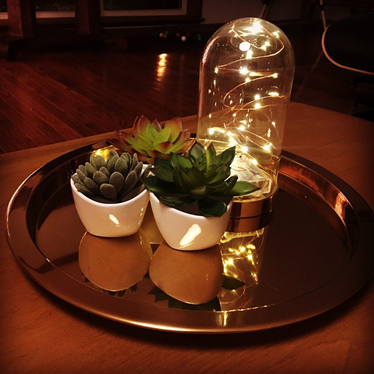 Succulents, dome jar, a brass tray and battery lights!