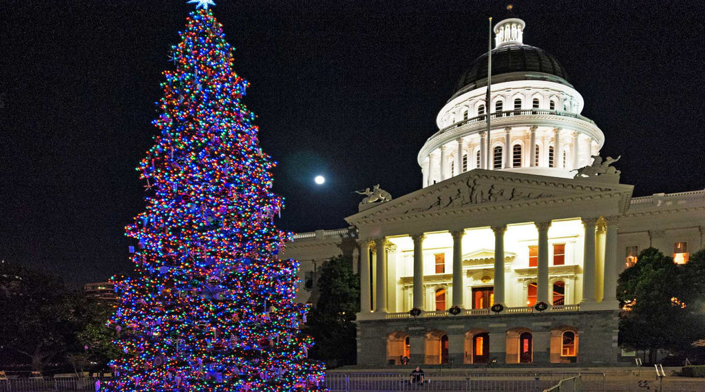 Lights Across the Country: DC and the Capitol Tree