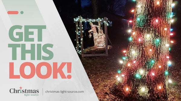Get This Look: Glass Multicolor C9 Bulbs and Cords to Wrap Trees