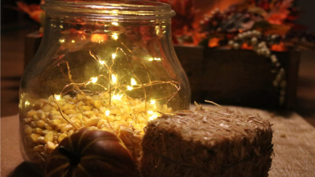 Corn and Lights Centerpiece