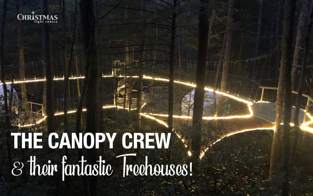 The Canopy Crew and their fantastic Treehouses!