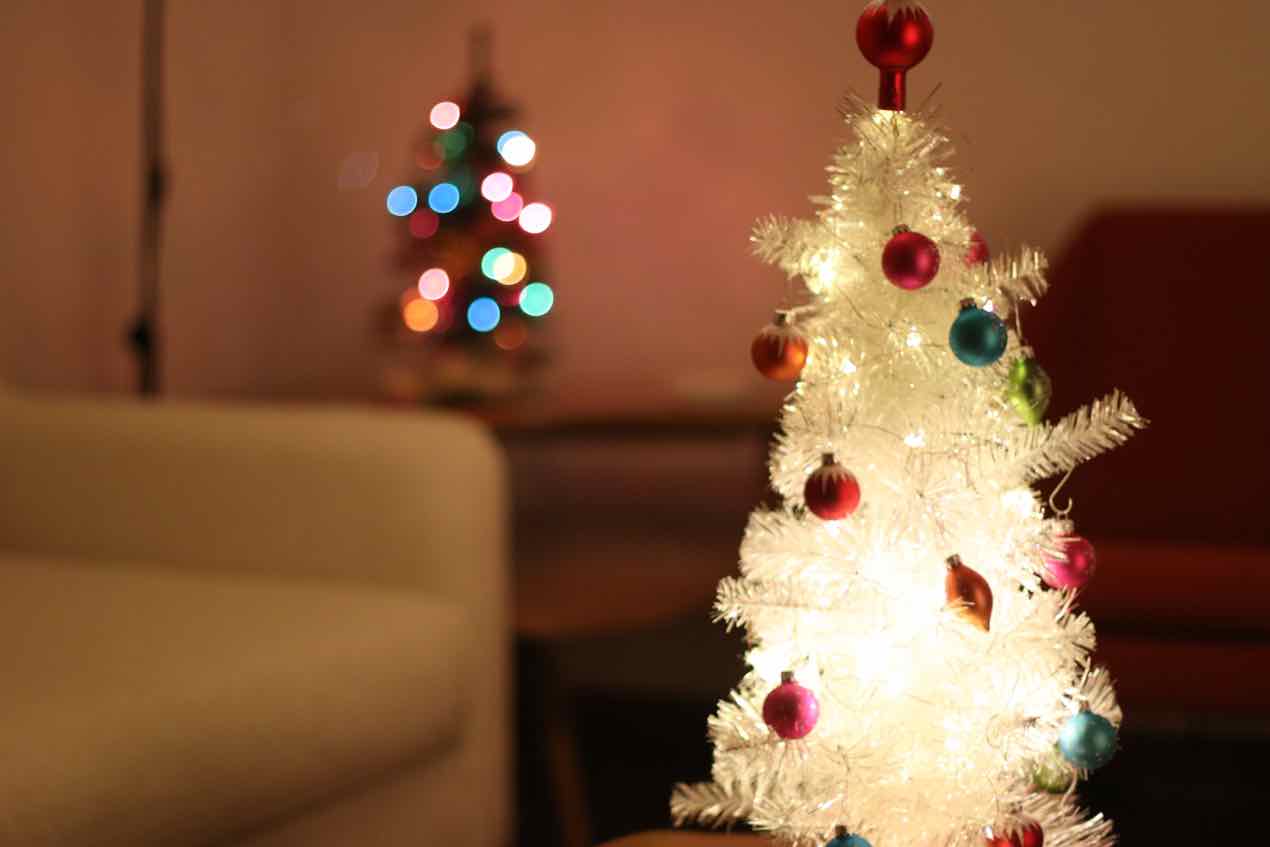 Lighting Up Tiny Trees!