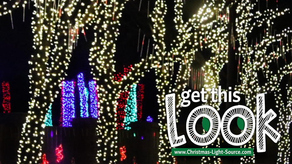 Get This Look: Wrap trees with warm white LED light strings!