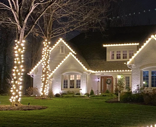 White Christmas Lights