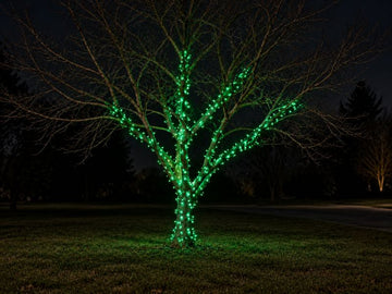 LED Christmas Lights – Christmas Light Source