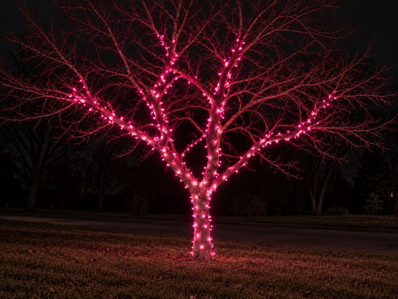 LED Christmas Lights – Christmas Light Source