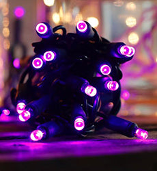 Purple LED Christmas Lights