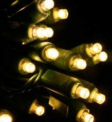 LED Twinkle Lights