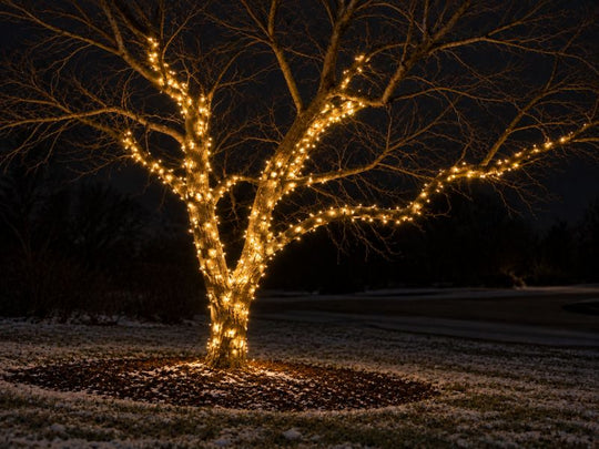 December Led Light LED Christmas Lights – Christmas Light Source