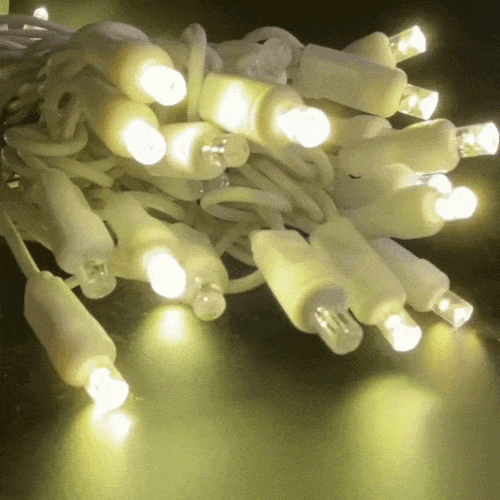 LED Twinkle Lights