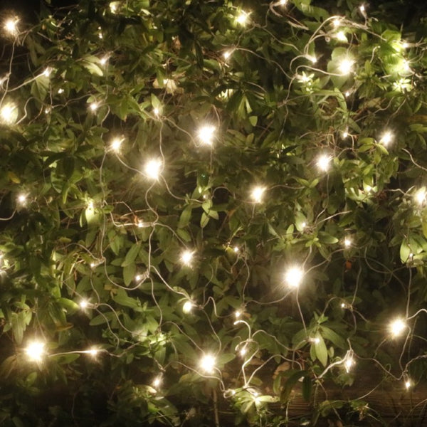 Warm White LED Net Lights