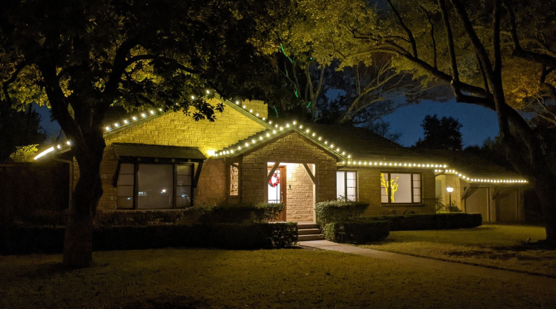 C9 LED Bulbs