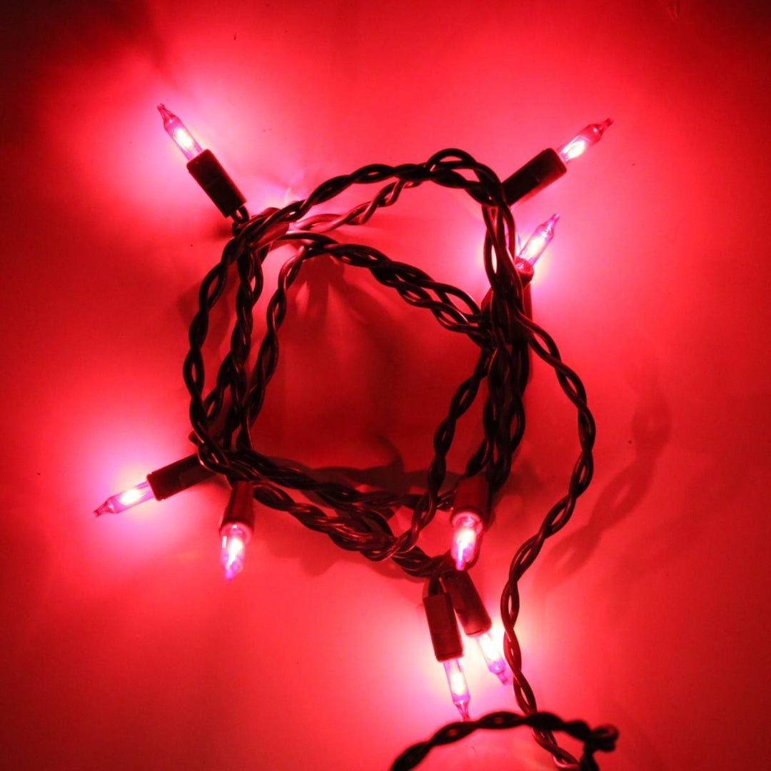 10-bulb Red Craft Lights, Green Wire