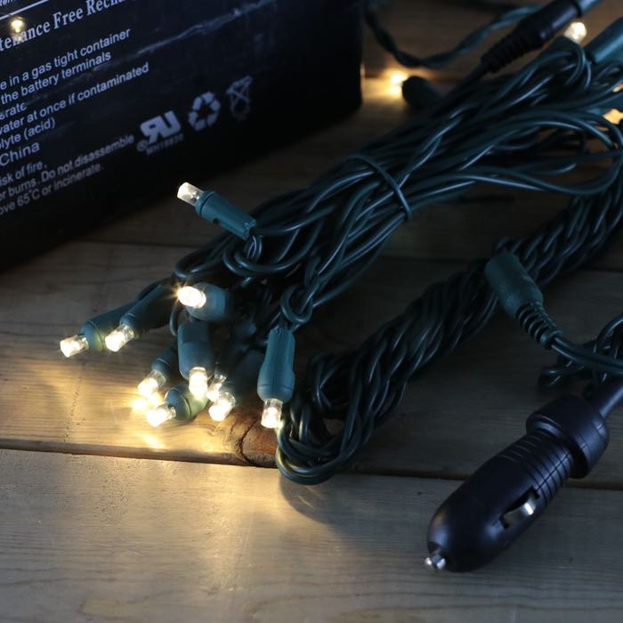 https://www.christmas-light-source.com/cdn/shop/products/12-volt-christmas-lights-warm-white-green-1118.jpg?v=1650305741&width=720