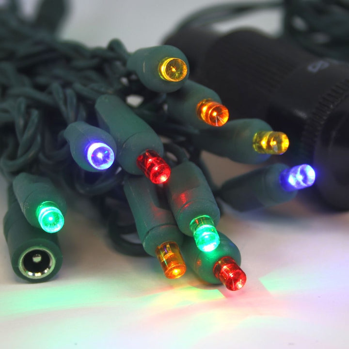 12 Volt LED Light Set Multicolor on Green Wire
