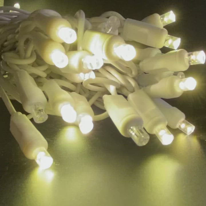 50-light 5mm Warm White Twinkle LED Christmas Lights, 6" Spacing White Wire
