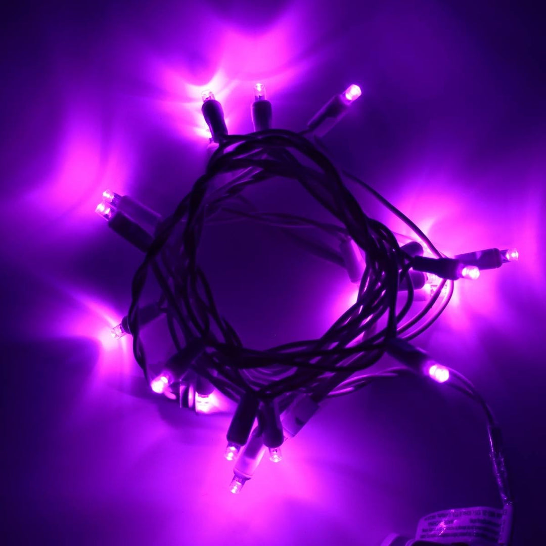 First Purple Led 20-light Purple LED Craft Lights, White Wire – Christmas Light Source