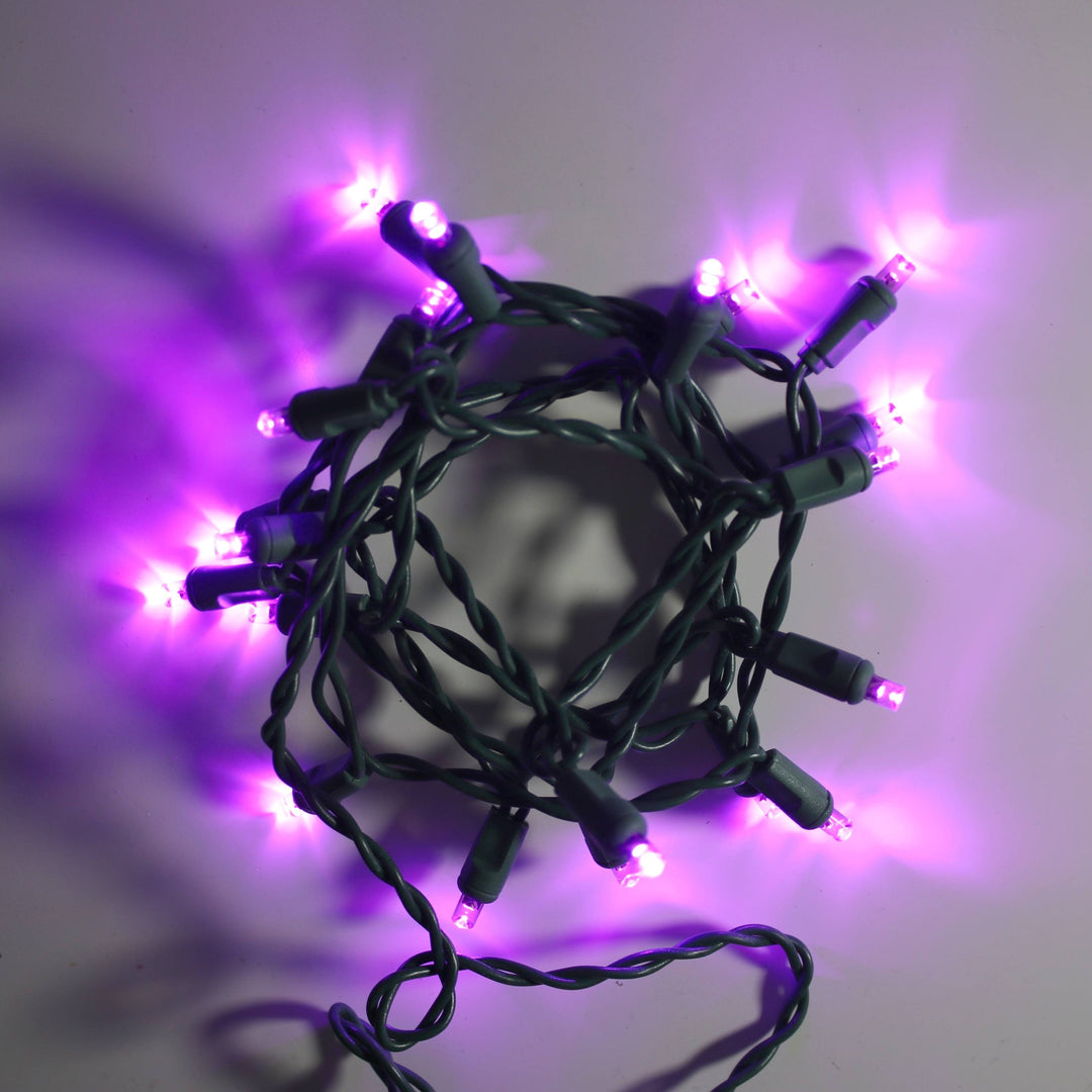 20-light Purple LED Craft Lights, Green Wire