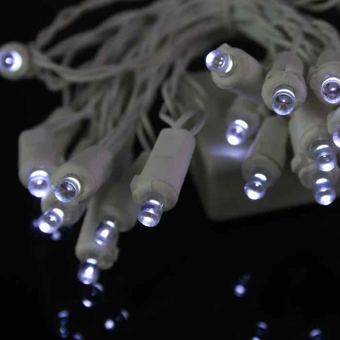 20-light 5mm Pure White LED Battery Lights, White Wire