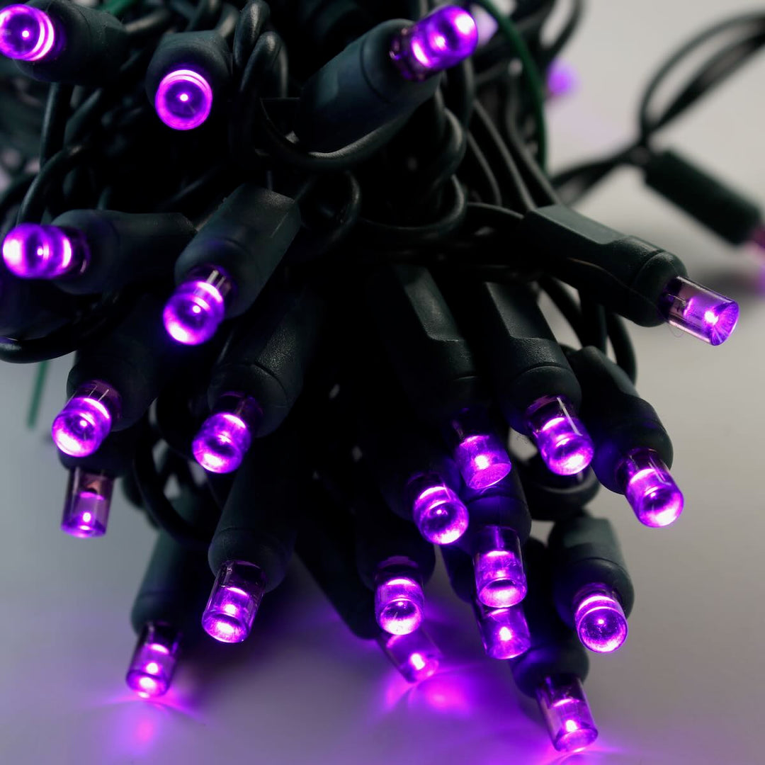 50-light 5mm Purple LED Christmas Lights, 4" Spacing Green Wire