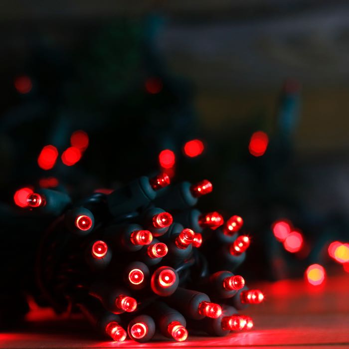 50-light 5mm Red LED Christmas Lights, 6" Spacing Green Wire