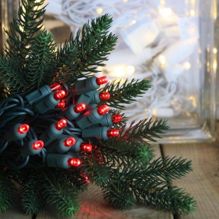 Wide Angle 5MM LED Lights - 50 Multicolor Outdoor LED Christmas Tree  Lights, Mini 5MM