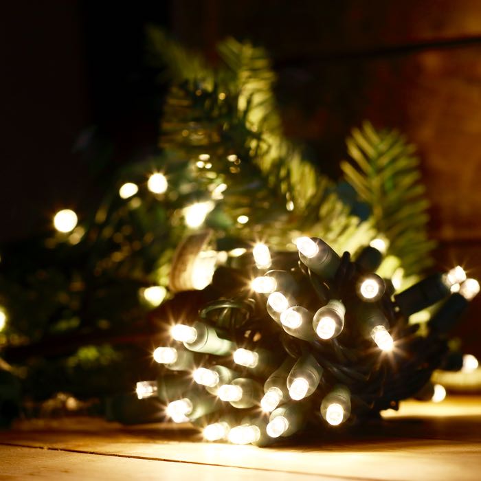 Profeti subtropisk Moralsk uddannelse 50-light 5mm Warm White LED Christmas Lights, 4" Spacing Green Wire – Christmas  Light Source