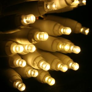 20-light 5mm Warm White LED Battery Lights, White Wire