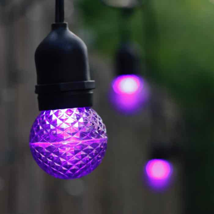 G50 Purple LED Bulbs E26 Bases